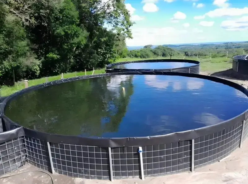 hdpe geomembrane price for fish farming Echo